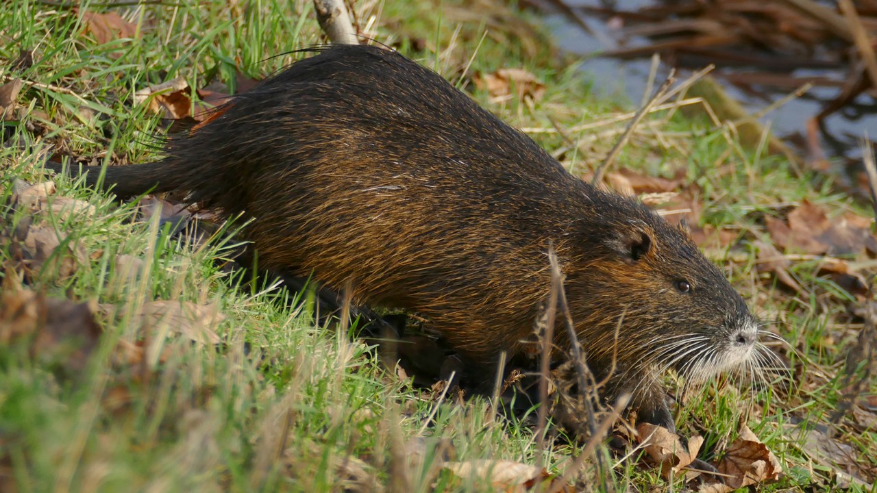 201224_5049_1280x720.jpg