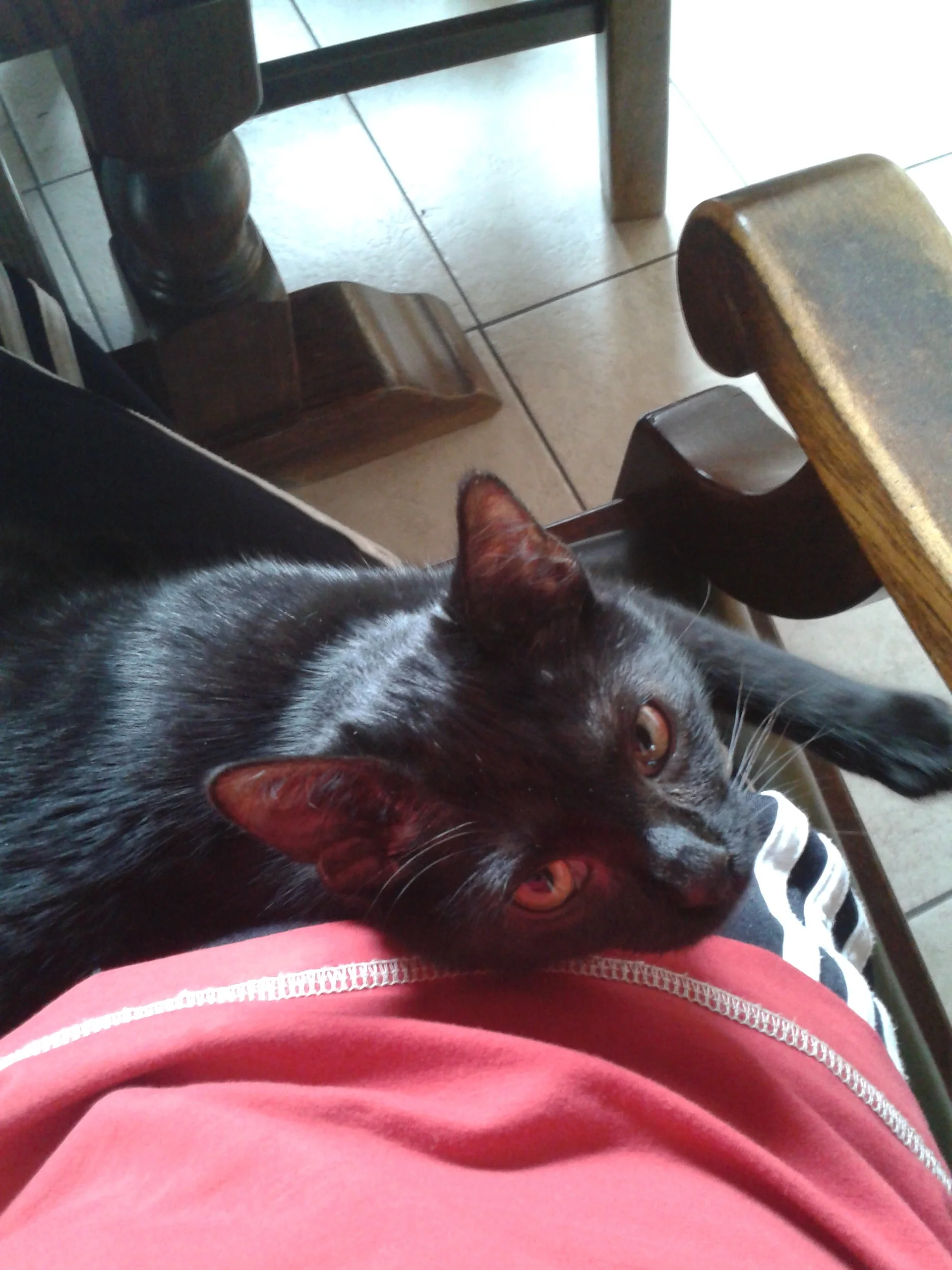 2014-09-28 14.43.07.webp