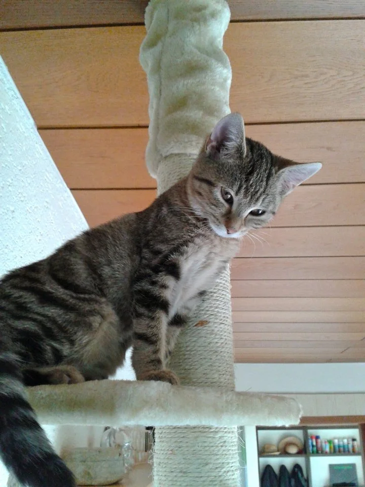 2014-10-18 14.03.45.webp