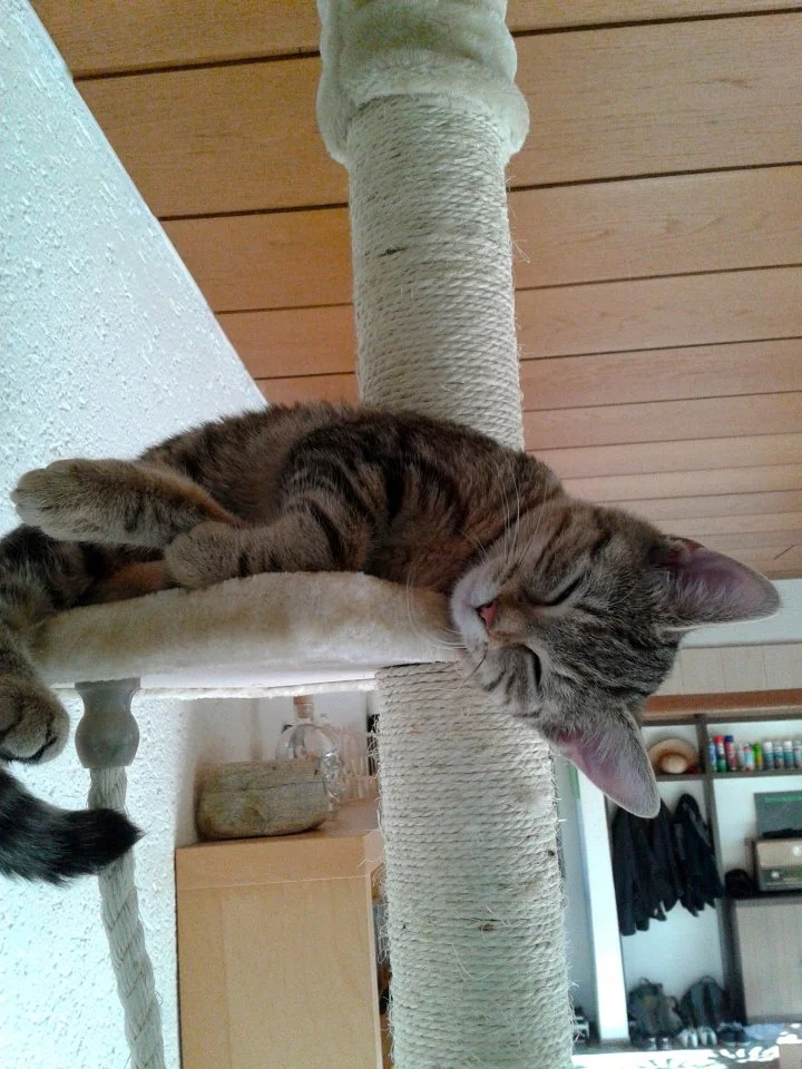 2014-10-18 14.04.22.webp