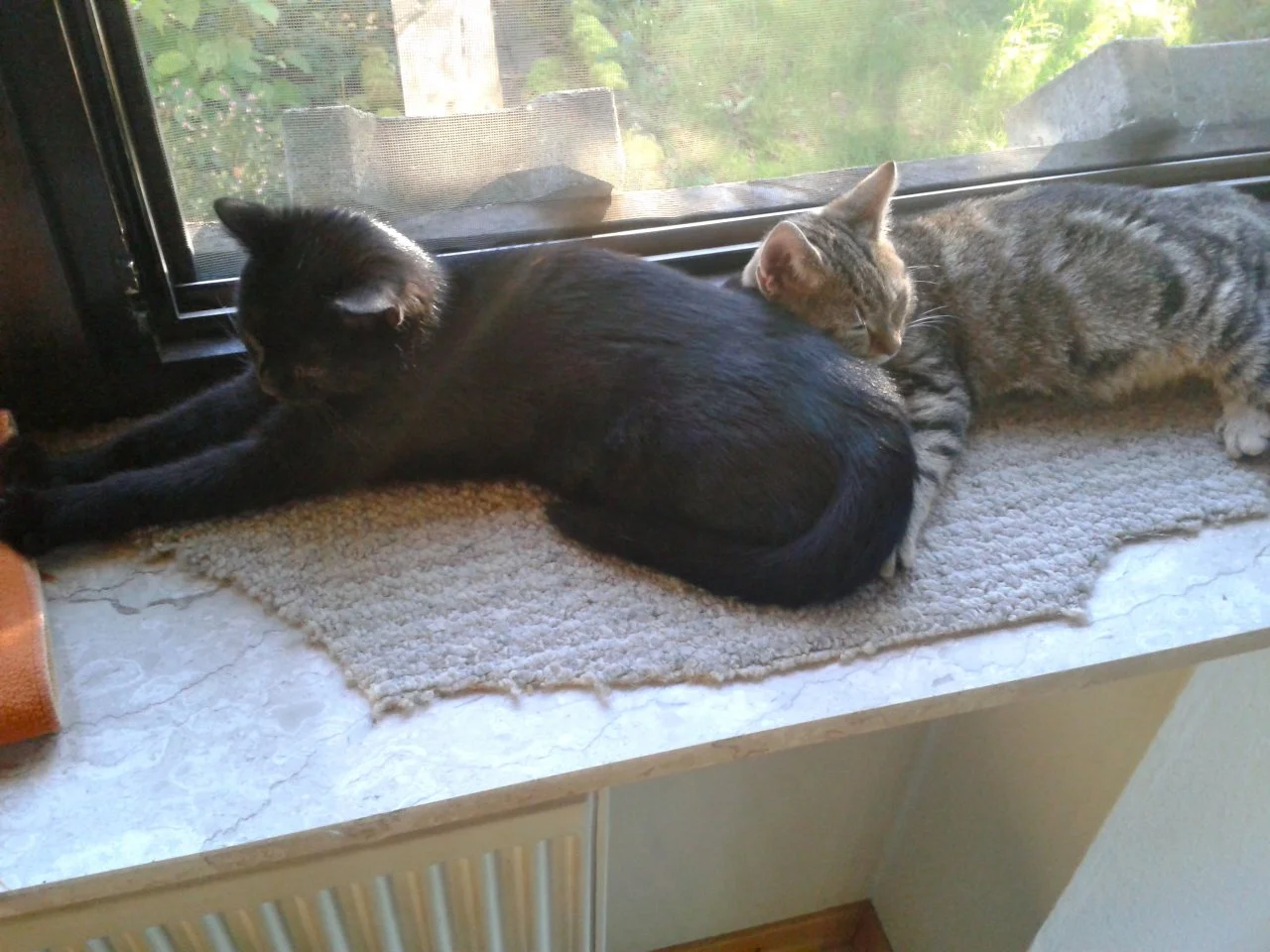 2014-10-18 16.49.20.webp