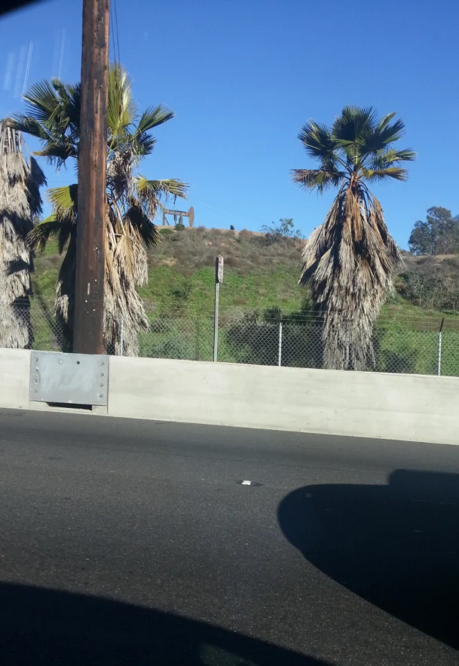 2015-01-15 15.05.55.webp