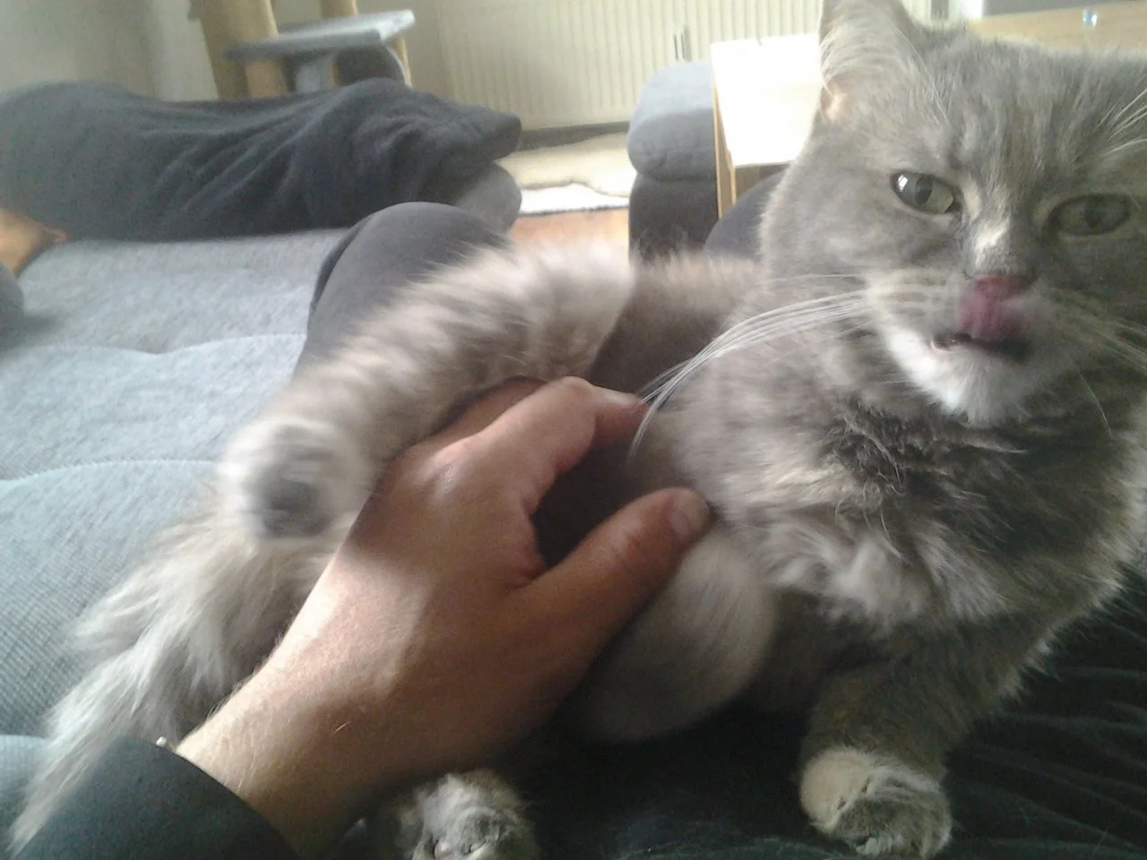 2015-06-19 18.40.04.webp