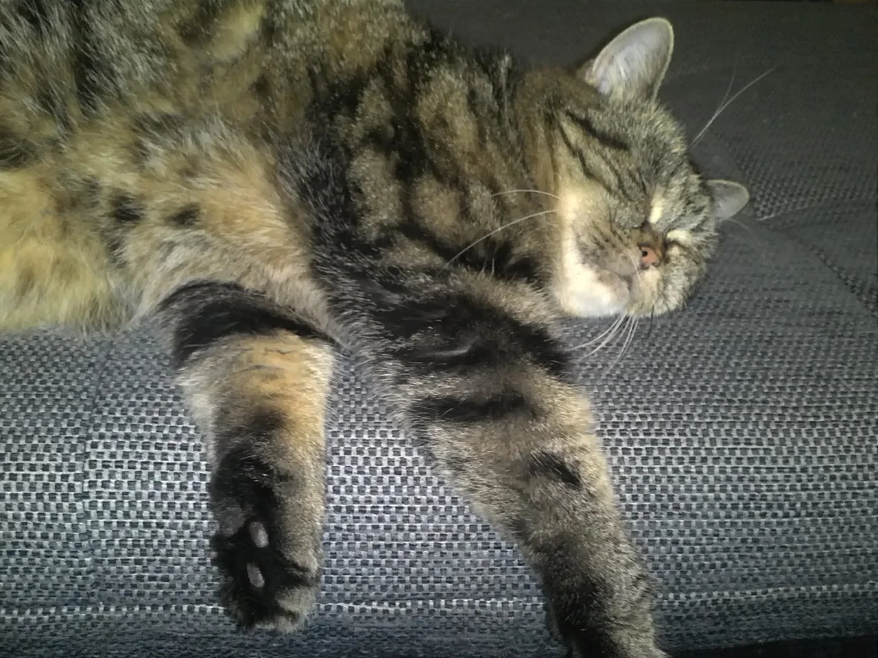 2015-07-10 22.34.02.webp