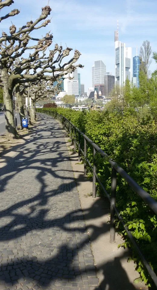 20150419_095833-1.webp