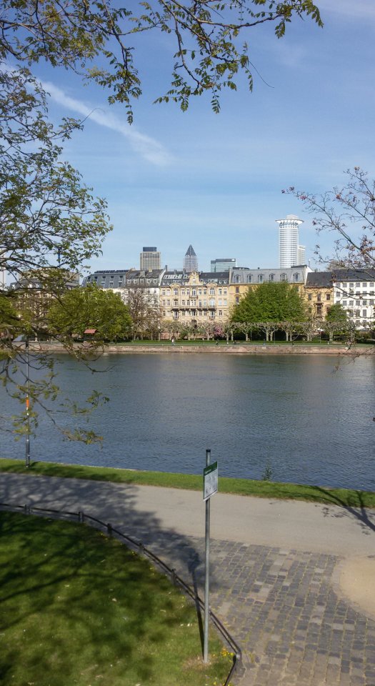 20150419_101153-1.jpg