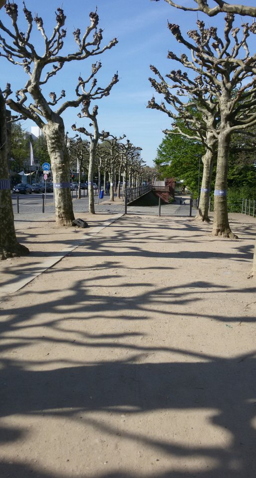 20150419_101212-1.jpg