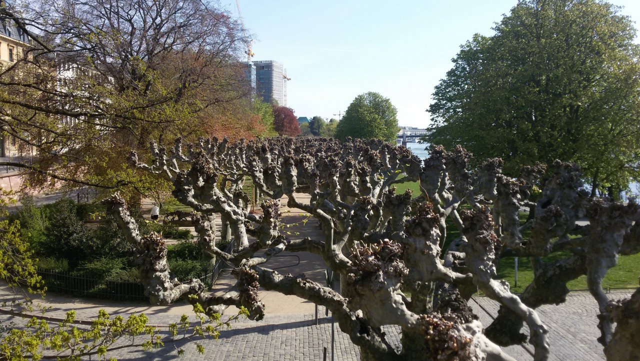 20150419_101914-1.jpg