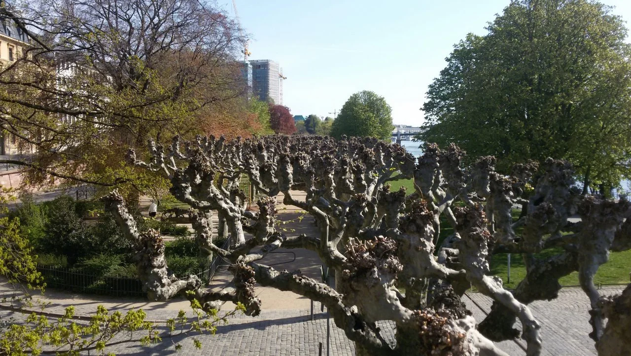 20150419_101914-1.webp