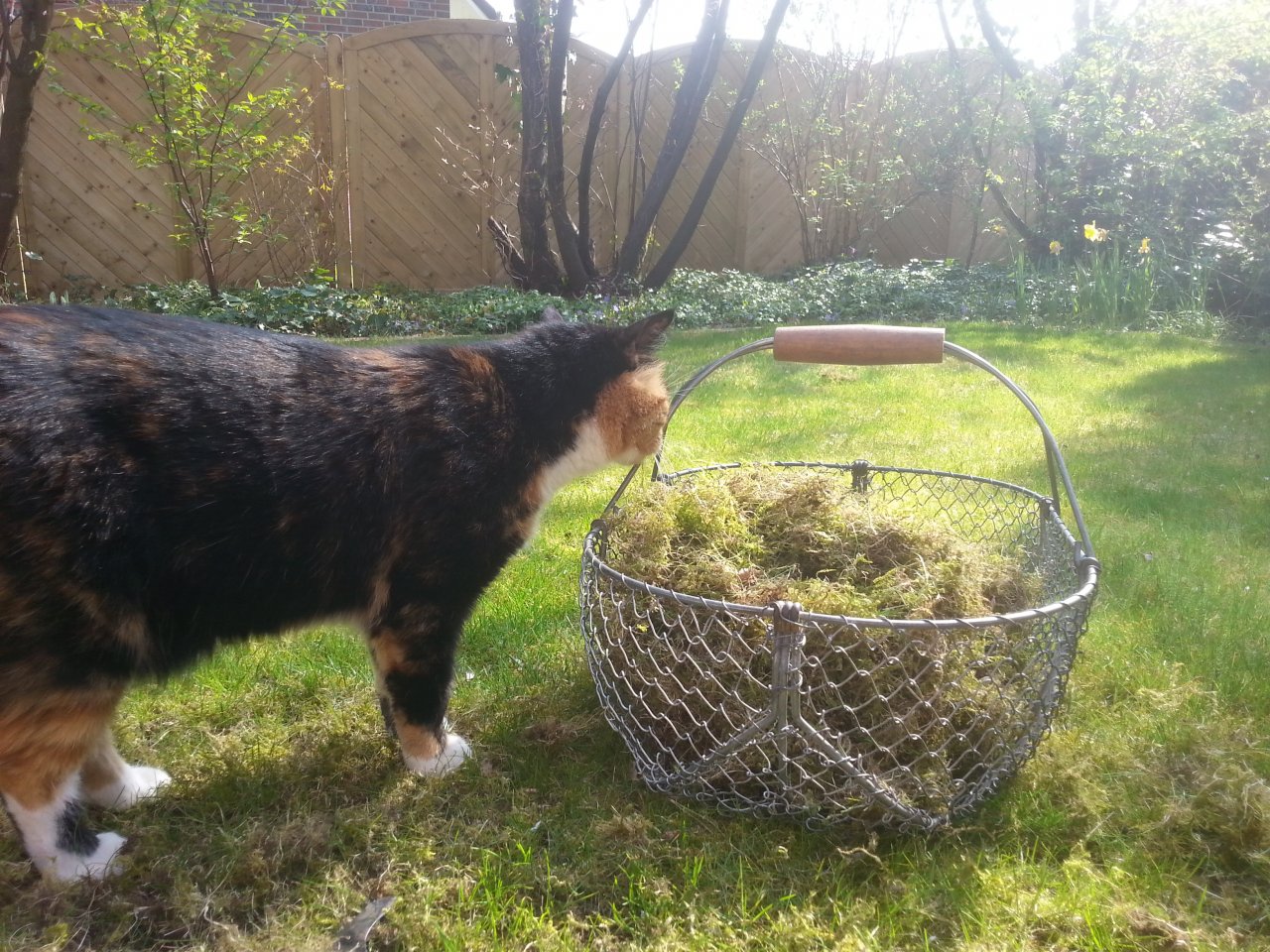 20150424_160556.jpg