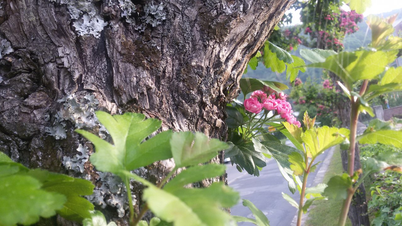 20150512_071024.jpg