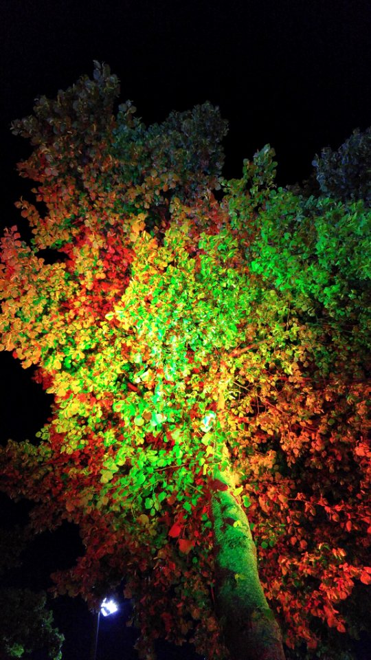 20150606_225450_HDR.jpg