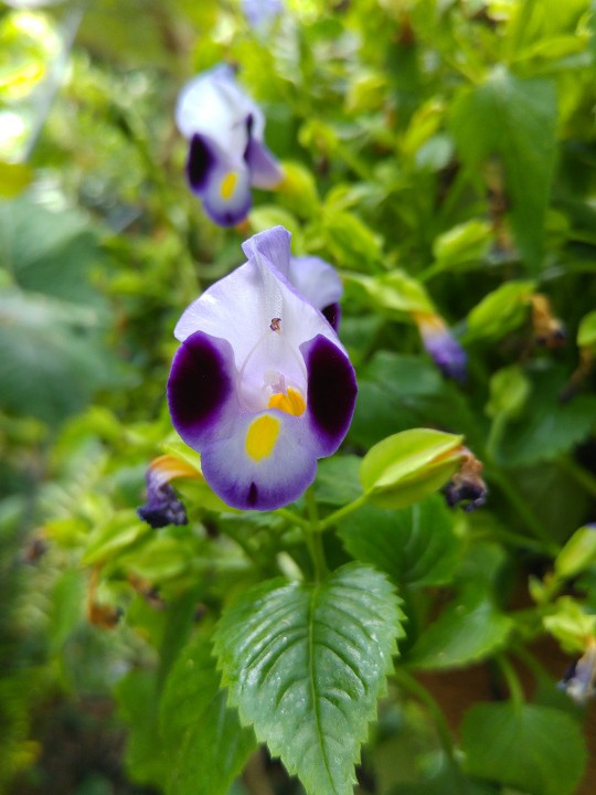 20150618_144501.jpg