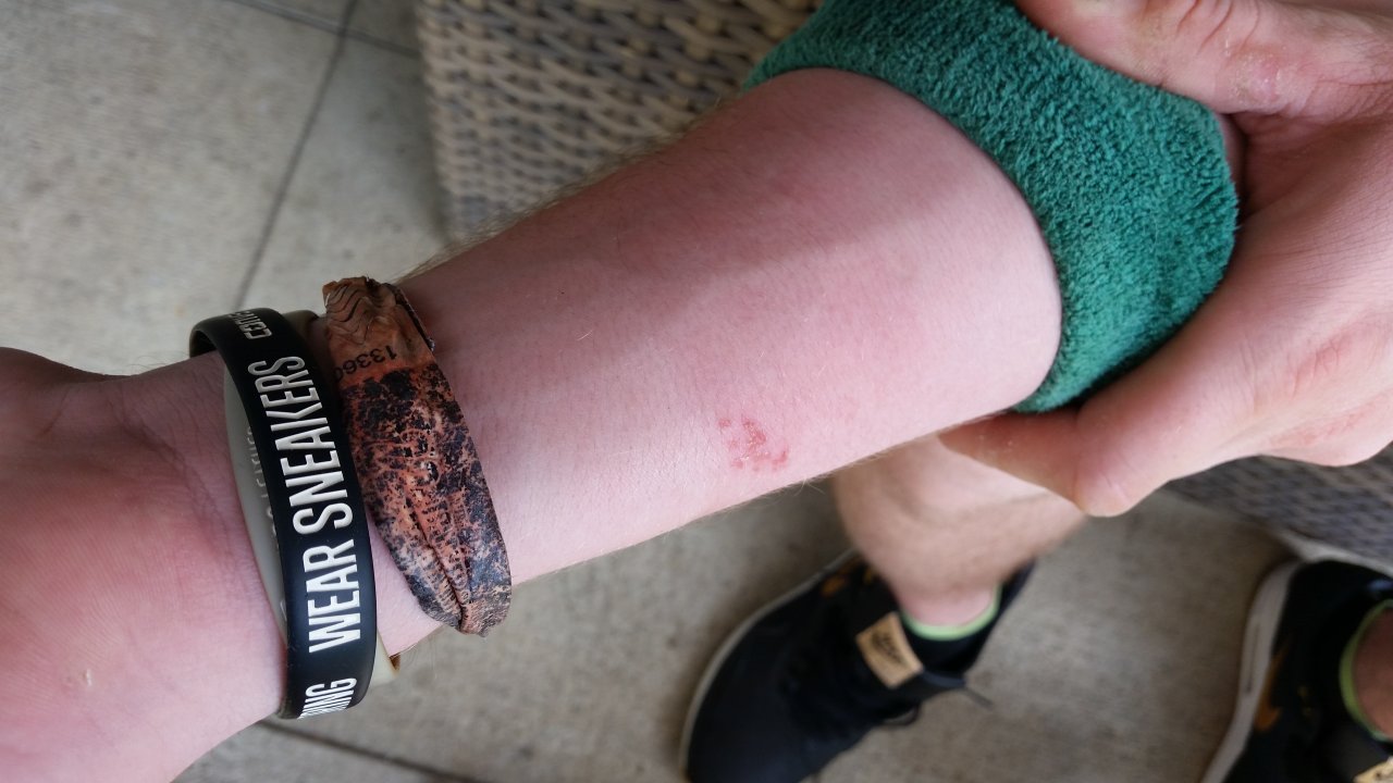 20150712_102716.jpg