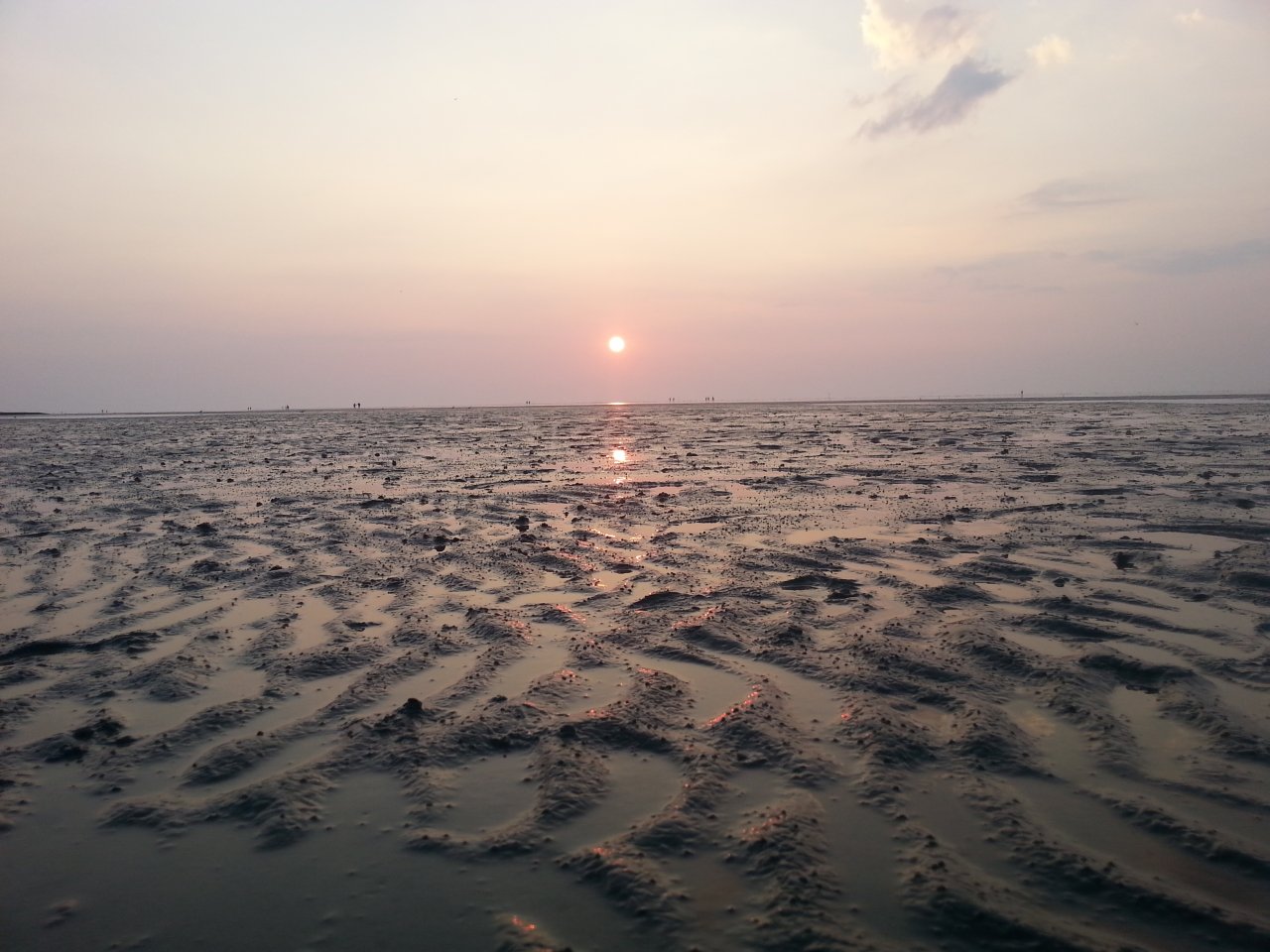 20150820_201746.jpg