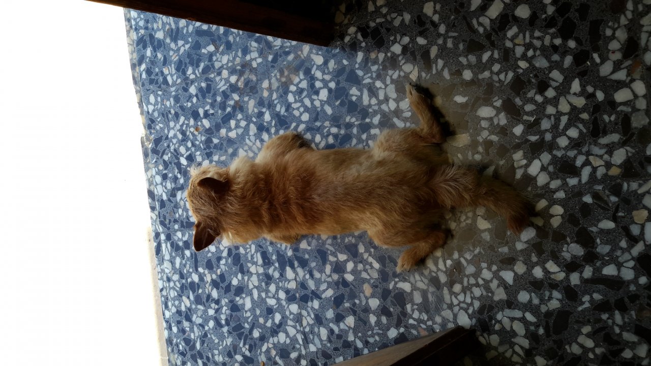 20150827_172743.jpg
