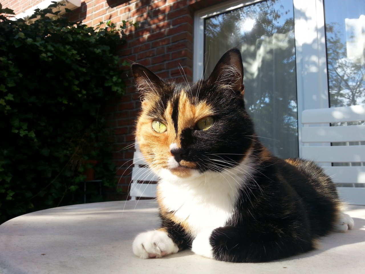 20150923_154131.jpg