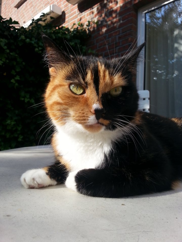 20150923_154143.jpg