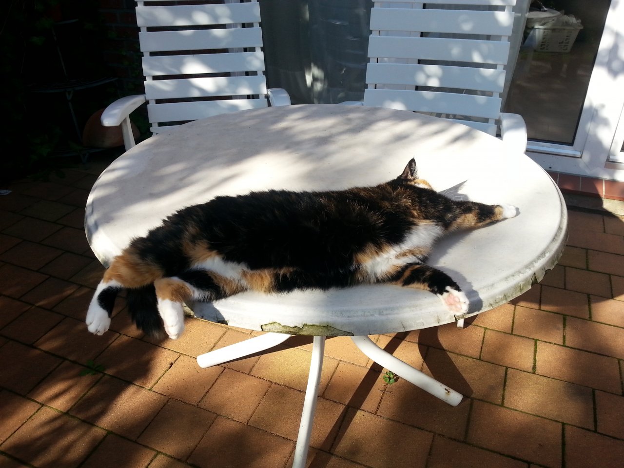 20150923_154709.jpg