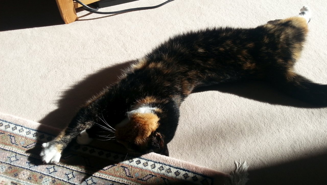 20151001_155429.jpg