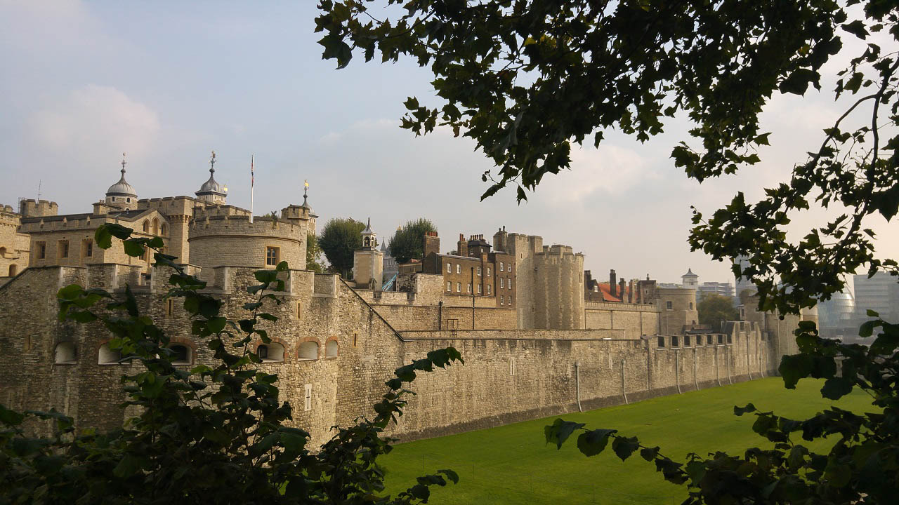20151003_160151-2.jpg