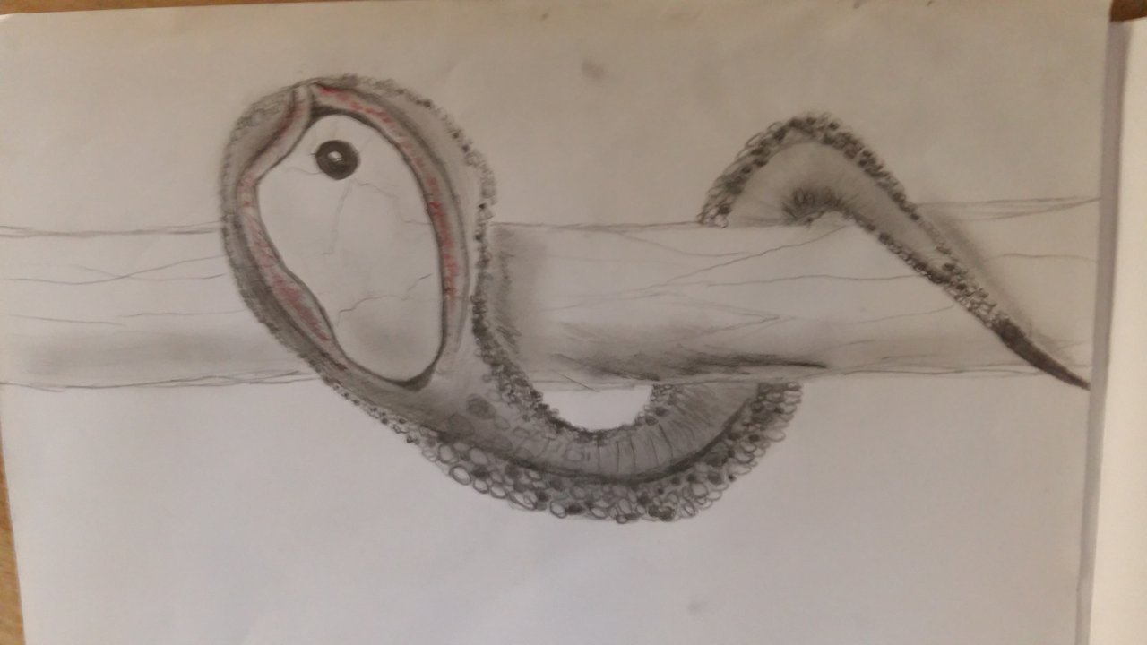 20151119_150604.jpg