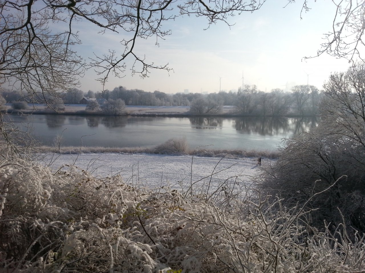 20160122_130745.jpg