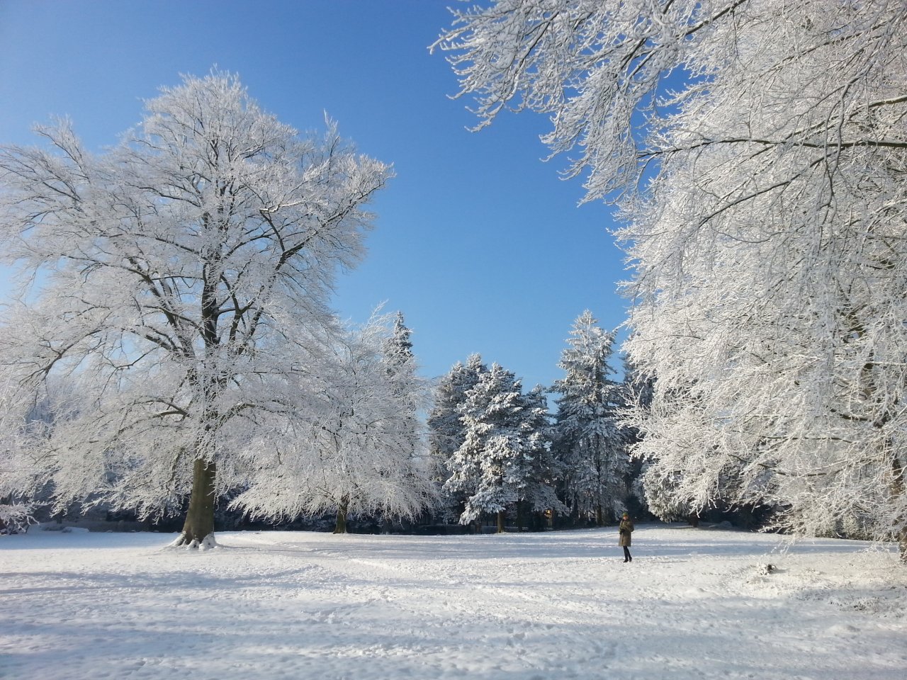 20160122_131335.jpg