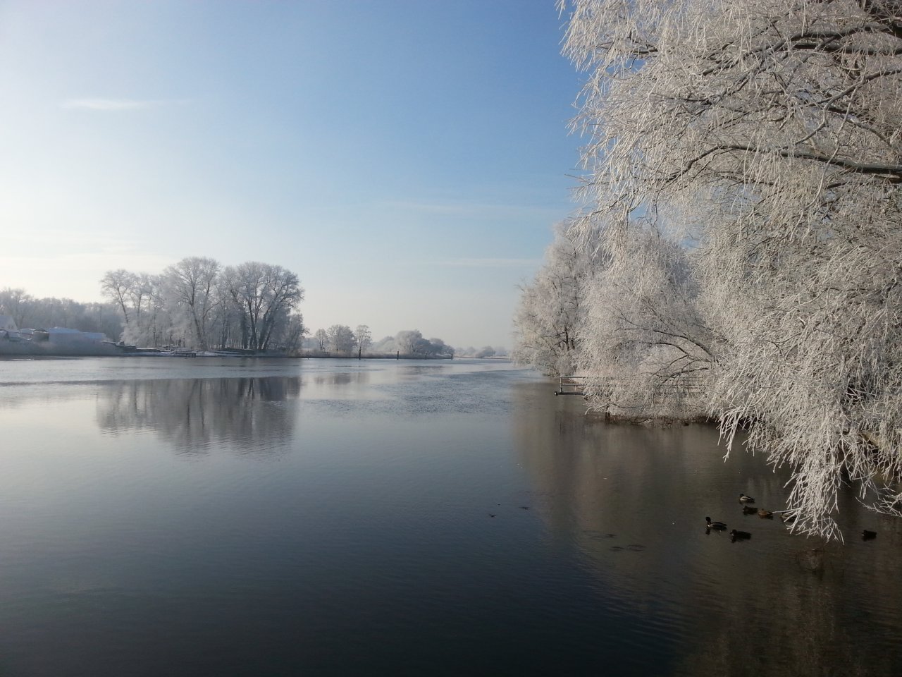 20160122_133555.jpg
