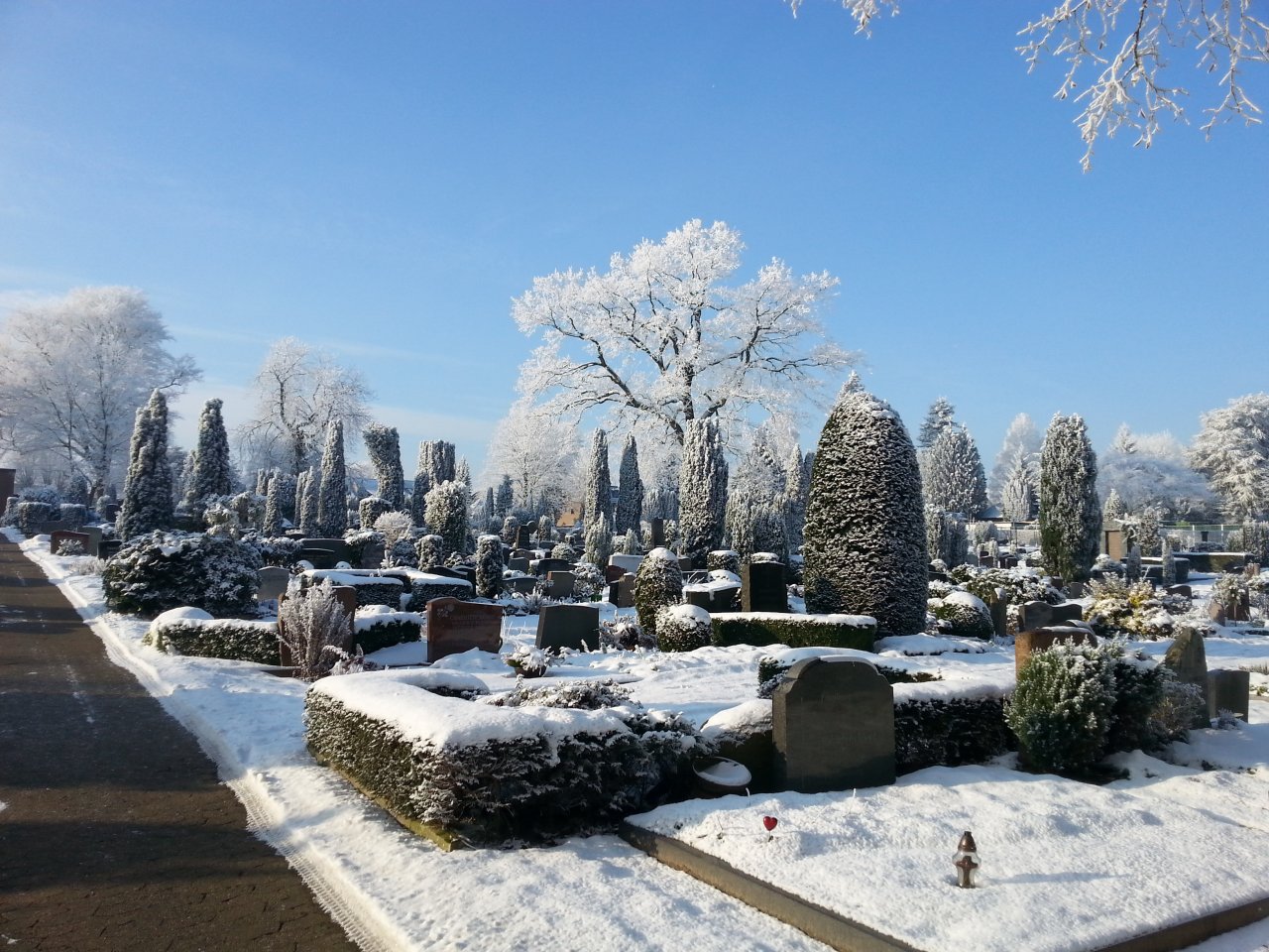 20160122_135853.jpg