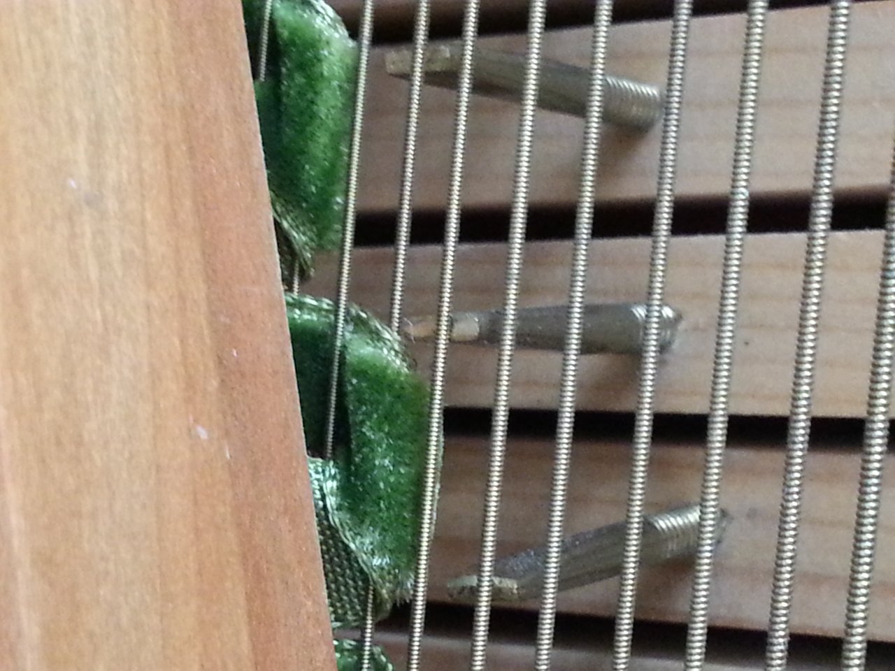 20160224_140232.jpg