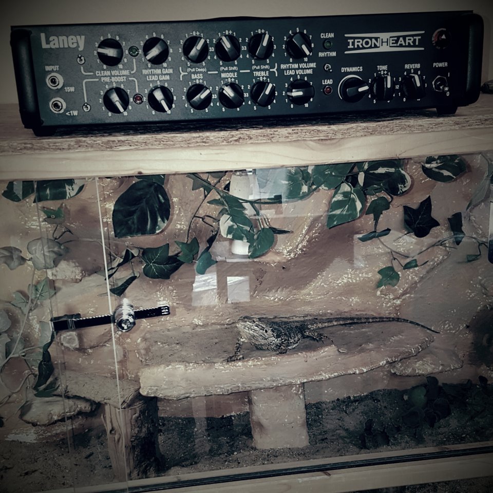 20160713_231716.jpg