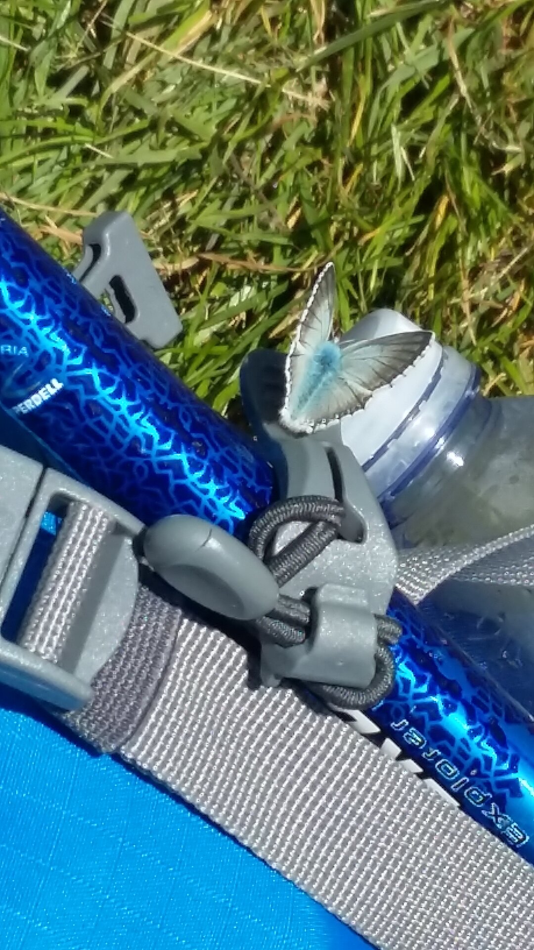 20160804_121510.jpg
