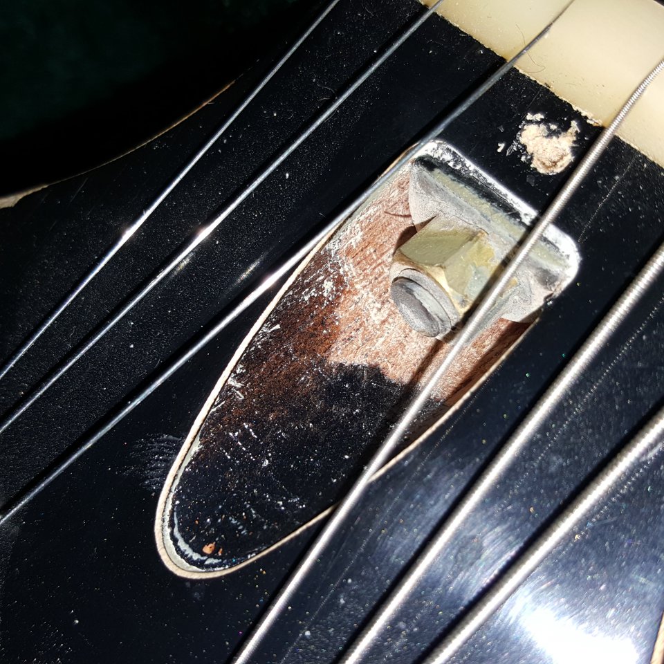 20160911_084542.jpg