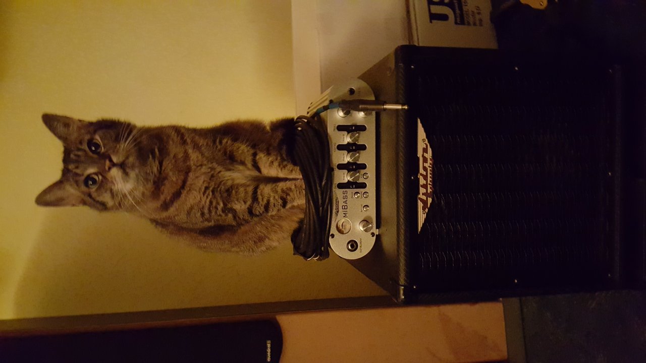 20161223_213139_001.jpg
