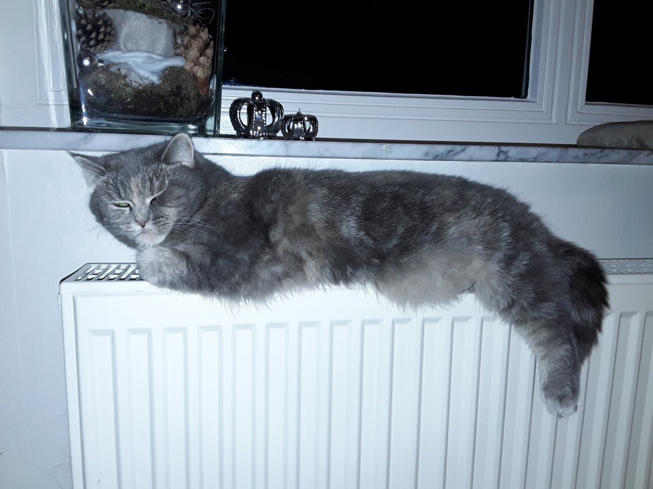 20170116_185739.jpg