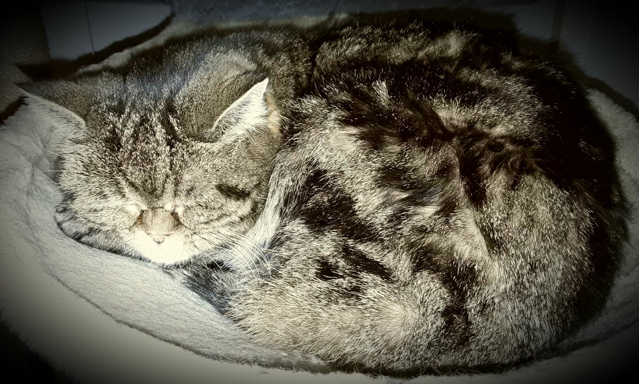 20170116_190940.jpg