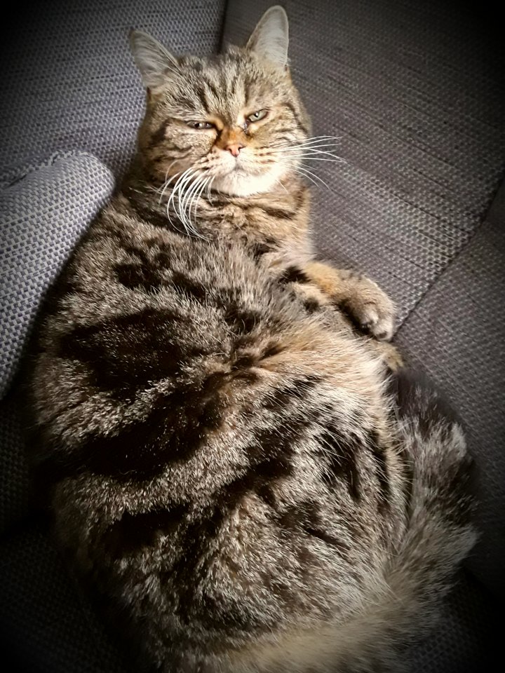 20170124_204419.jpg