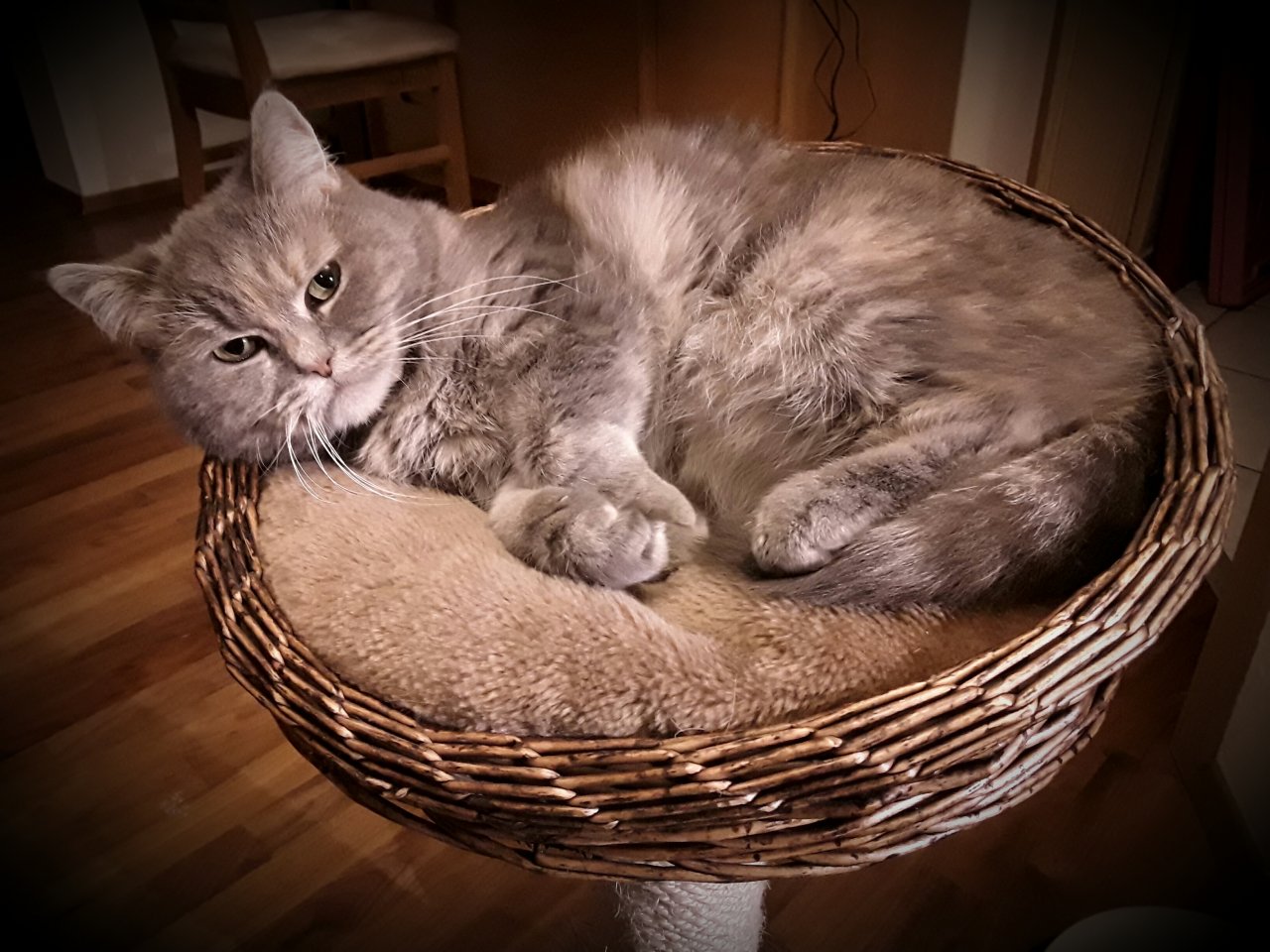 20170124_204626.jpg