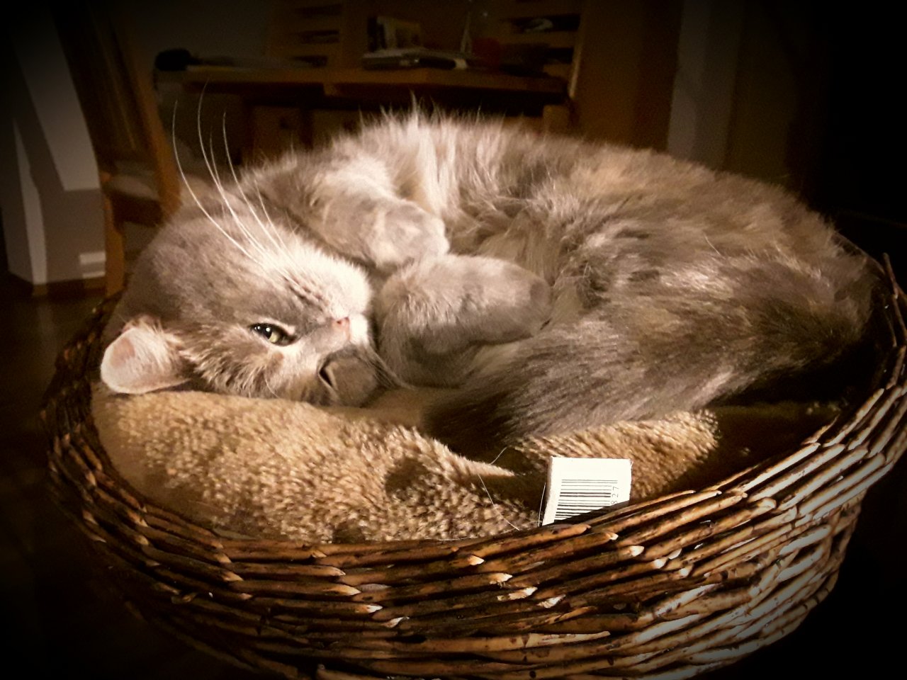 20170124_204708.jpg
