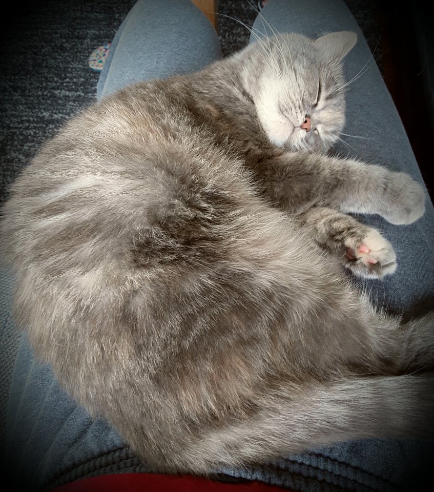 20170124_204917.jpg