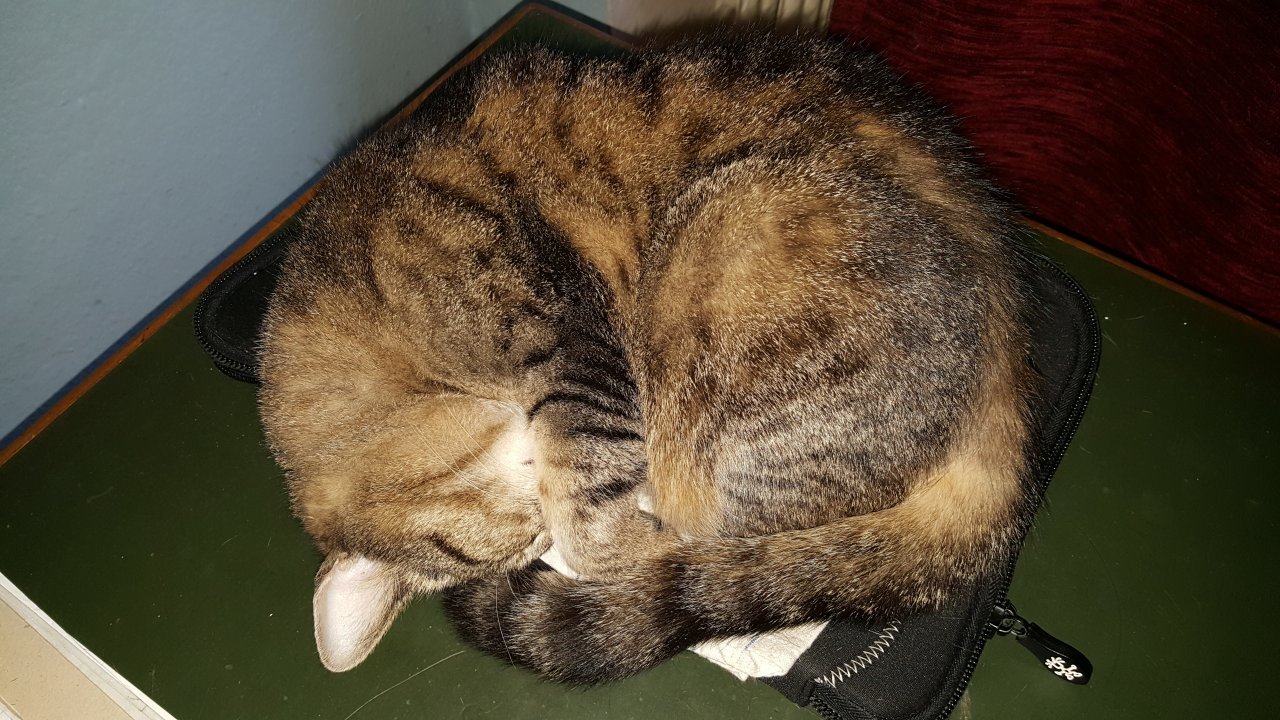 20170129_131948.jpg
