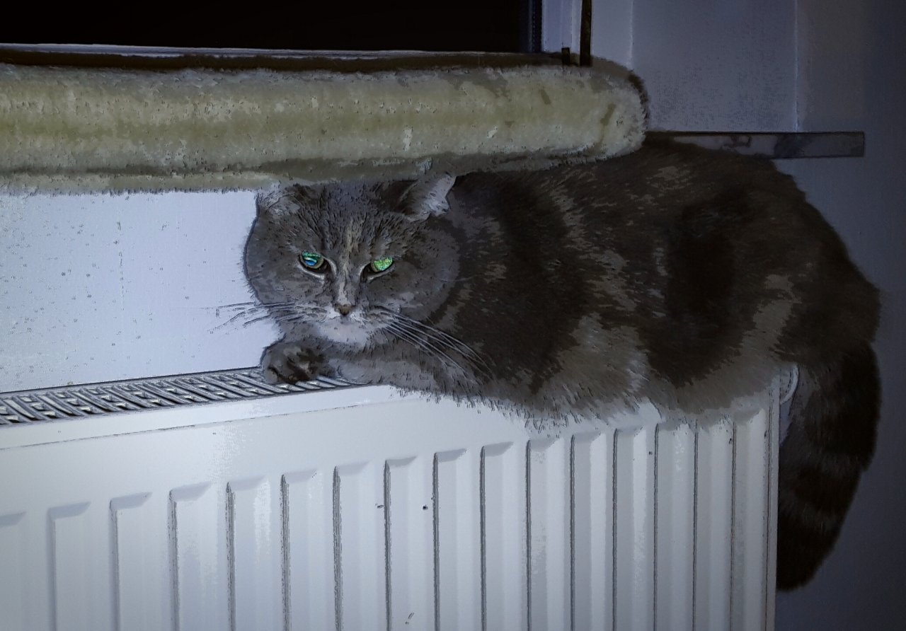 20170131_192412.jpg