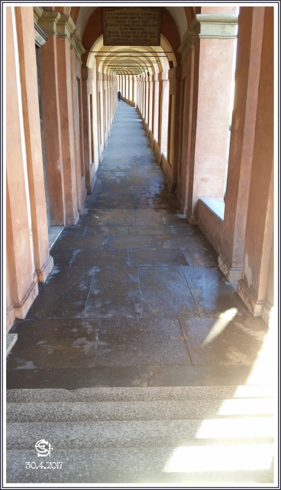 20170430_090914 stennes-falter Bologna Rosenkranzweg.jpg