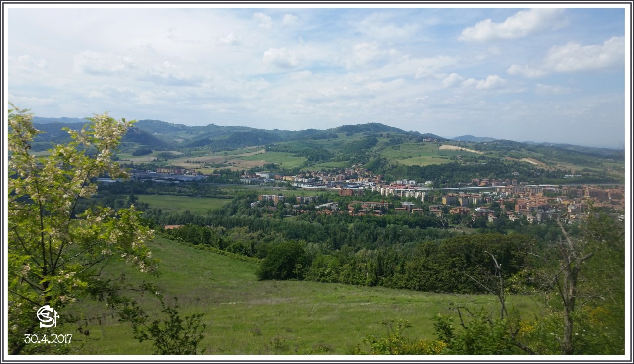 20170430_122713 stennes-falter Bologna.jpg