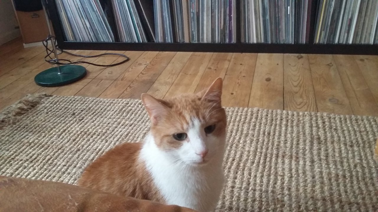 20170628_183611.jpg