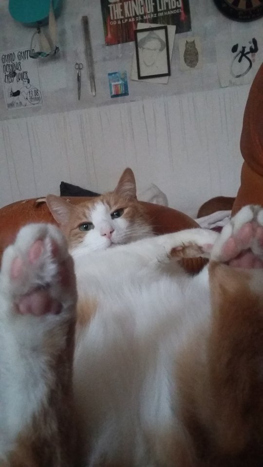 20170702_181038.jpg