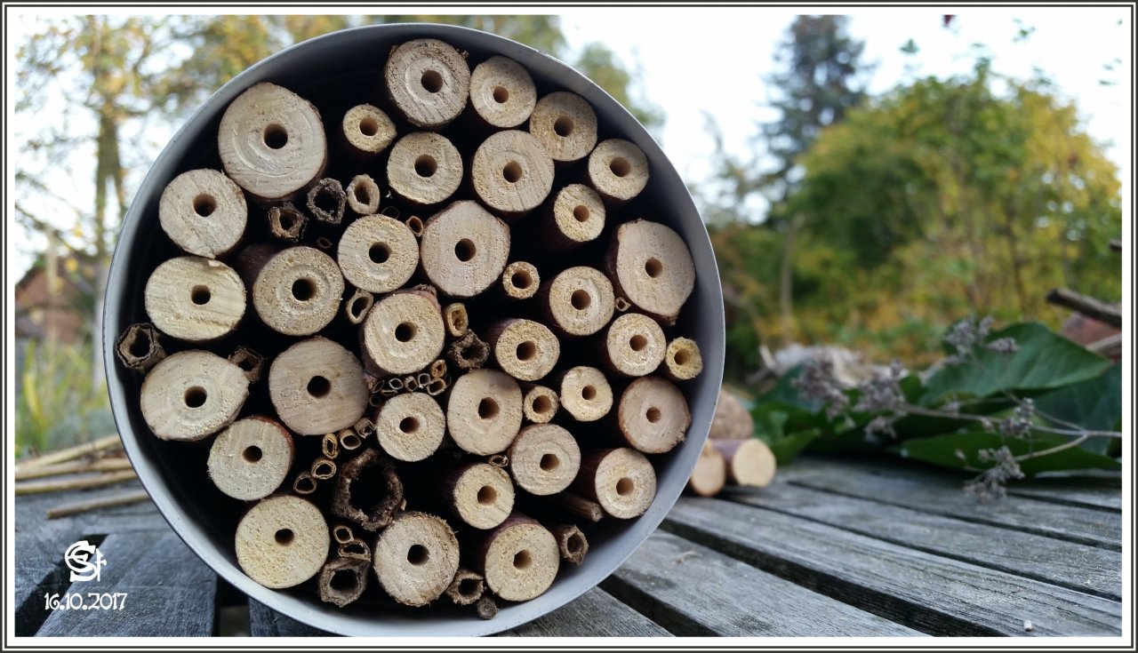20171016_175312Rsig Insektenhotel Dose03.jpg