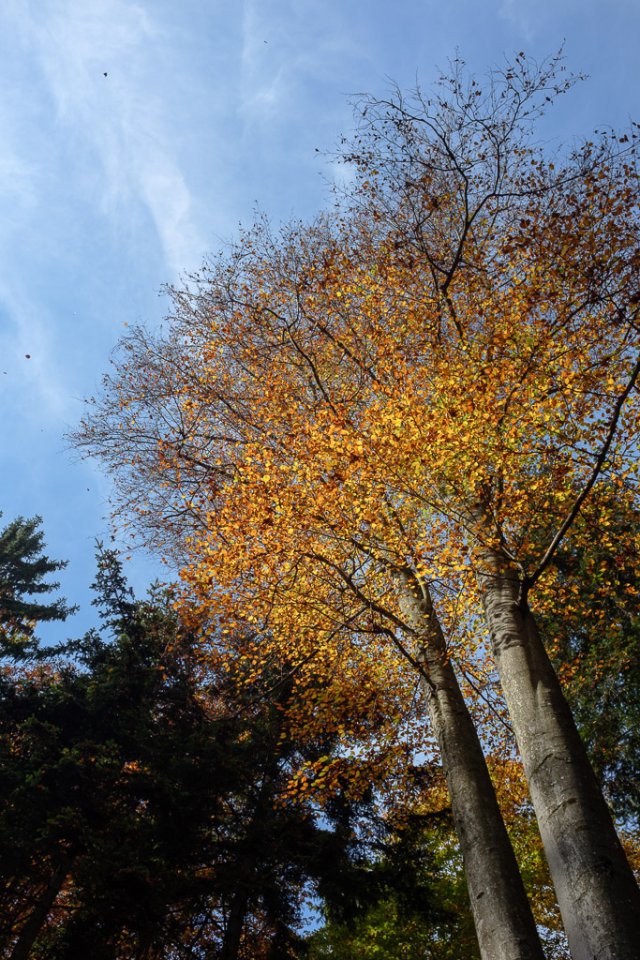 201710181208-DSCF3856.jpg