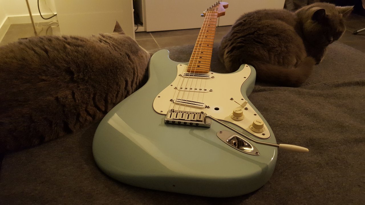 20171126_222042.jpg